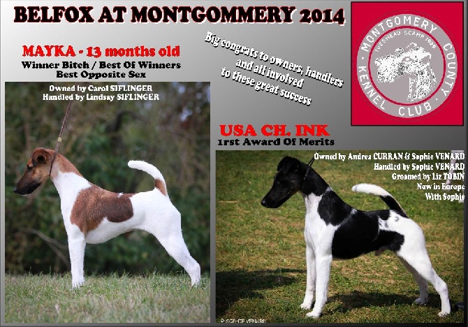 Belfox - Montgommery 2014 - USA