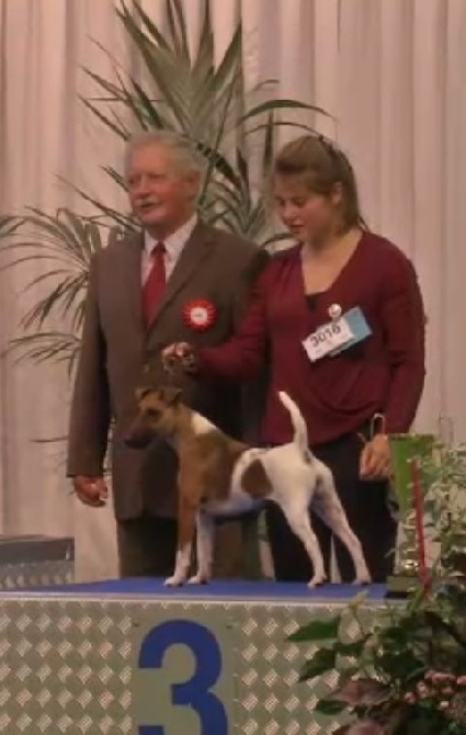 Luxembourg Dog Show